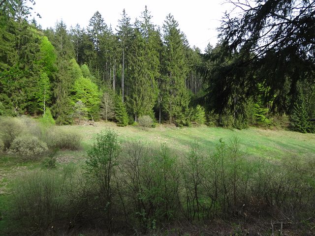 Grundstück kaufen in Schleusingen OT Erlau Bis 31.12.2019 verpachtete