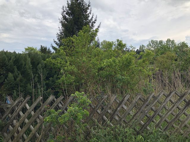 Grundstück kaufen in Schorfheide OT Groß Schönebeck