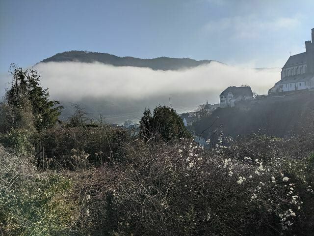 Grundstuck Kaufen In Oberwesel Rhein Mit Aufwuchs Bestandene Flache In Hanglage Zwischen Wohnbebauungen Mit Herrlichem Blick Auf Den Rhein In Oberwesel Deutsche Internet Immobilien Auktionen