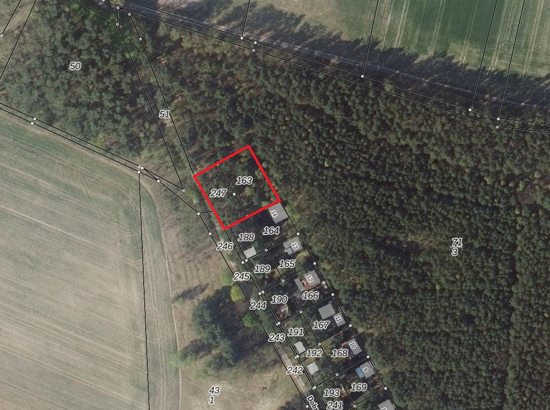Grundstück kaufen in Storkow OT Schwerin Mit Kiefern bestocktes