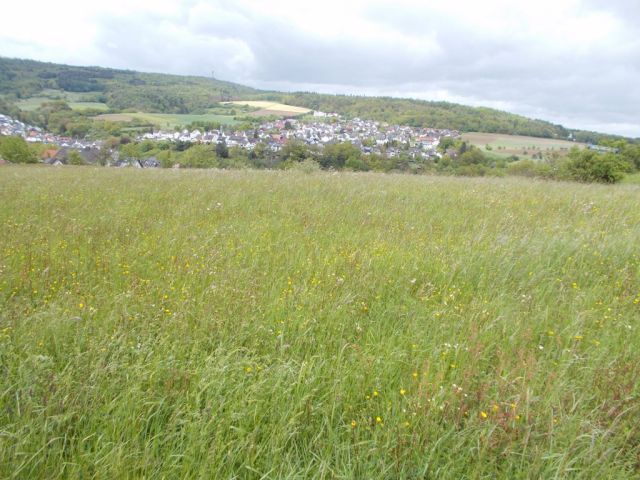 Grundstück kaufen in Weilburg ST Kirschhofen Grünland