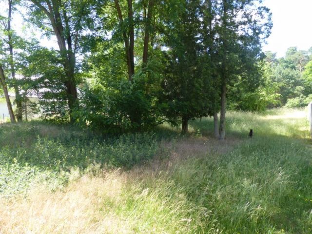 Grundstück kaufen in Rangsdorf Waldgrundstück in einem Wohngebiet in