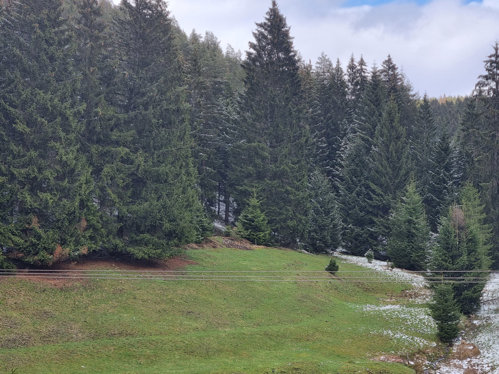 Grundstück kaufen in Saalfeld/Saale OT Reichmannsdorf Teilweise