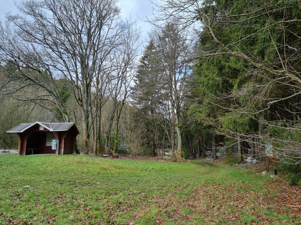 Grundstück kaufen in Saalfeld/Saale OT Reichmannsdorf Teilweise