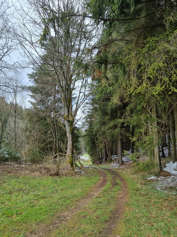 Grundstück kaufen in Saalfeld/Saale OT Reichmannsdorf Teilweise