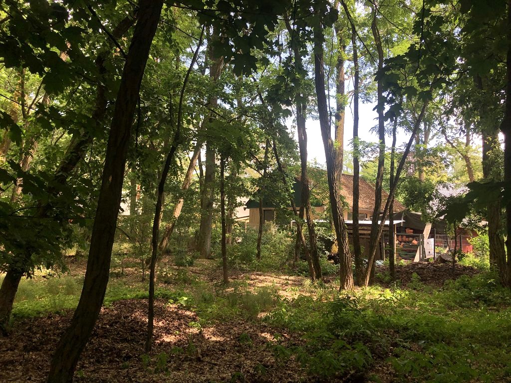 36+ Kaufen Waldgrundstück Oder Garten Allersbetg, Finden sie hier