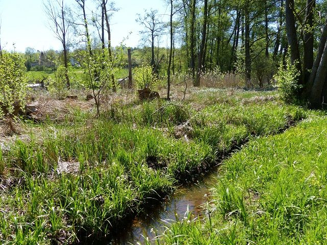 Blick von der Verkaufsfläche Richtung Ost und der 