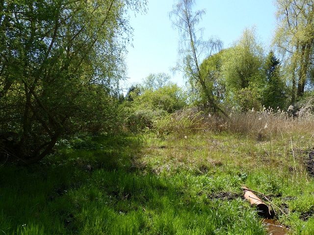Blick auf westlichen Grundstücksgrenzbereich und die Umgebung - Vertragsfreie, teilweise mit Bäumen und Sträuchern bewachsene Grünfläche an der ´Stöbber´