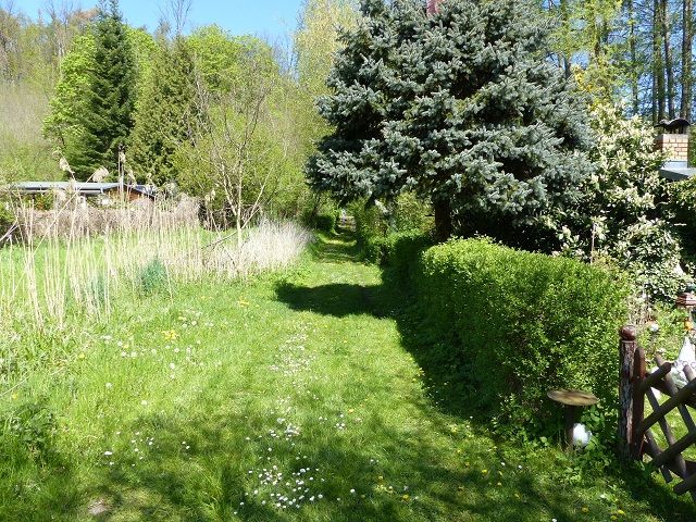 Blick auf die Zuwegung über Fremdflurstück 85 in Richtung Nord - Vertragsfreie, teilweise mit Bäumen und Sträuchern bewachsene Grünfläche an der ´Stöbber´