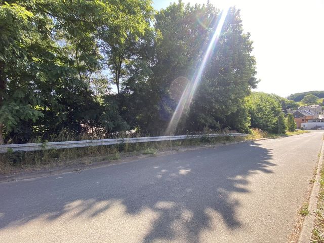 Blick in die Straße - Grundstück mit Gehölzbewuchs innerhalb eines Gewerbegebietes in Greiz