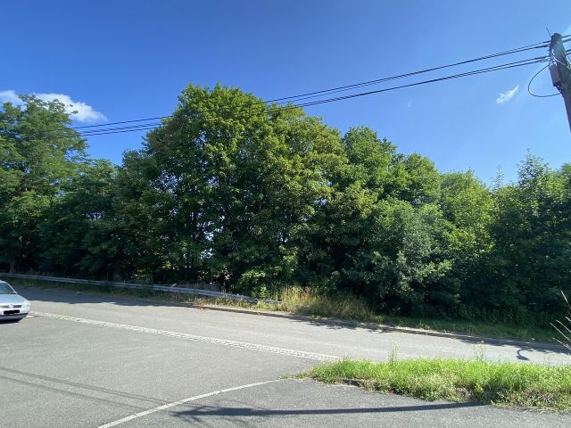 Umgebung - Grundstück mit Gehölzbewuchs innerhalb eines Gewerbegebietes in Greiz