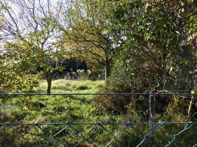 Grundstück kaufen in Zerbst/Anhalt OT Lindau Verpachteter Garten mit
