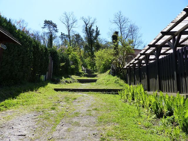 Blick auf Aufstieg zum Luisenberg von der Königstraße aus Richtung Verkaufsgegenstand - Mit Bäumen bewachsene Grünfläche hinter Wohnbebauung ca. 3 Autominuten vom Strandbad Buckow am Schermützelsee entfernt