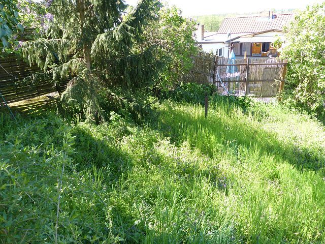 Blick auf Verkaufsfläche und Nachbarbebauung - Mit Bäumen bewachsene Grünfläche hinter Wohnbebauung ca. 3 Autominuten vom Strandbad Buckow am Schermützelsee entfernt