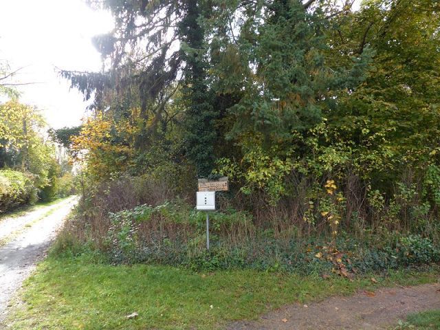 Blick auf die Verkaufsfläche und die Umgebung - Naturbelassenes, vertragsfreies Eckgrundstück nahe der nordwestlichen Berliner Stadtgrenze