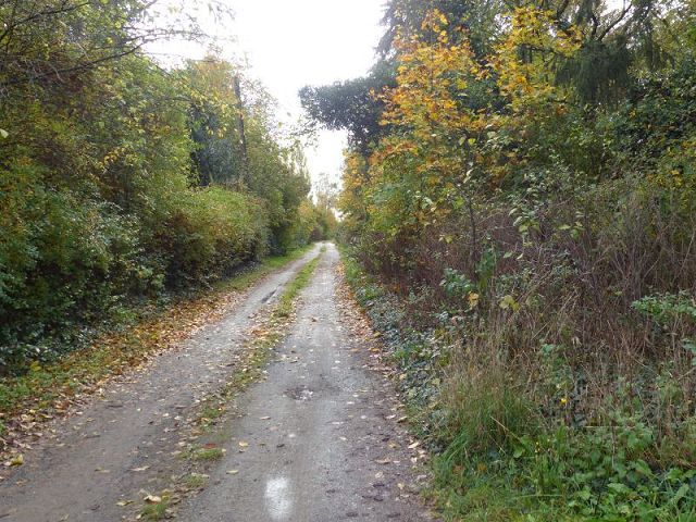 Blick auf den Weg vor der Verkaufsfläche und in die Umgebung - Naturbelassenes, vertragsfreies Eckgrundstück nahe der nordwestlichen Berliner Stadtgrenze