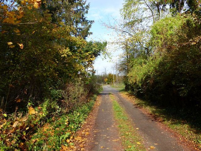 Blick in die Umgebung - Naturbelassenes, vertragsfreies Eckgrundstück nahe der nordwestlichen Berliner Stadtgrenze