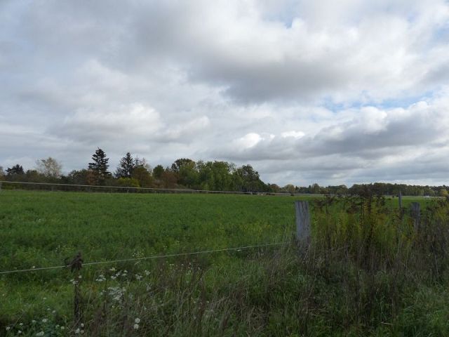 Blick in Richtung Verkaufsfläche und in die Umgebung - Naturbelassenes, vertragsfreies Eckgrundstück nahe der nordwestlichen Berliner Stadtgrenze