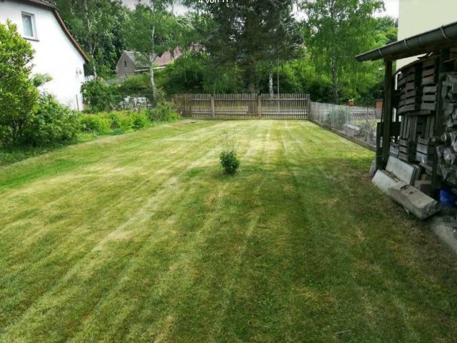 Grundstück kaufen in Blankenheim bei Sangerhausen Garten und