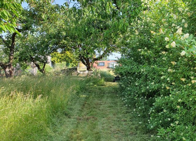 Grundstück kaufen in Blankenheim bei Sangerhausen Garten und