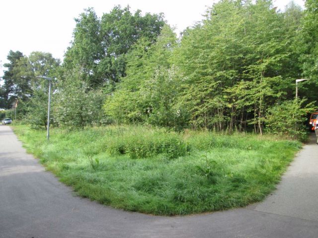 Blick auf das Verkaufsobjekt und die Umgebung - Vertragsfreie Grünfläche an der A 39