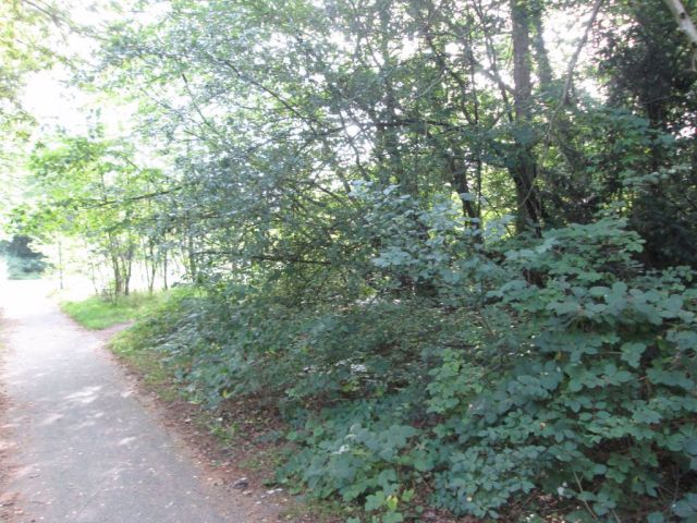Blick auf das Verkaufsobjekt und die Umgebung - Vertragsfreie Grünfläche an der A 39