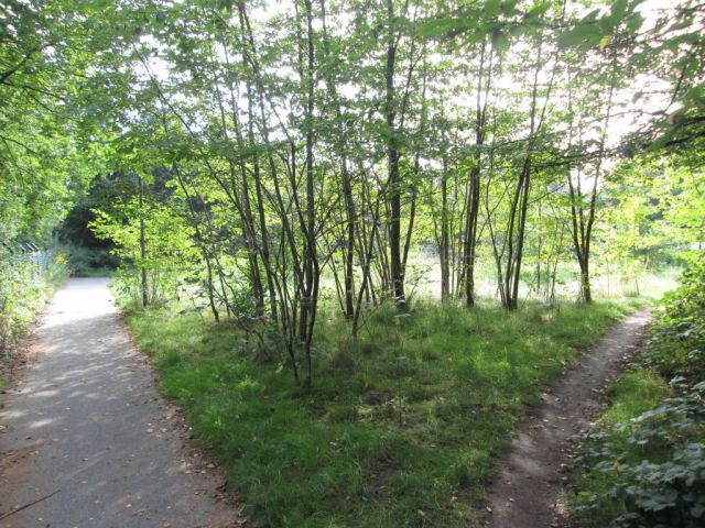 Blick auf das Verkaufsobjekt und die Umgebung - Vertragsfreie Grünfläche an der A 39