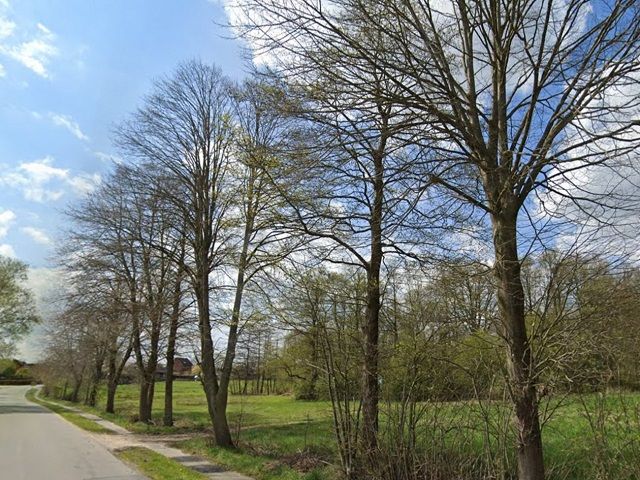Blick in die Umgebung vom Lehmrader Weg - 14 Ufer-, Wasser- & Grünlandflächen im Kreis Herzogtum Lauenburg **nahe Hamburg und Lübeck**