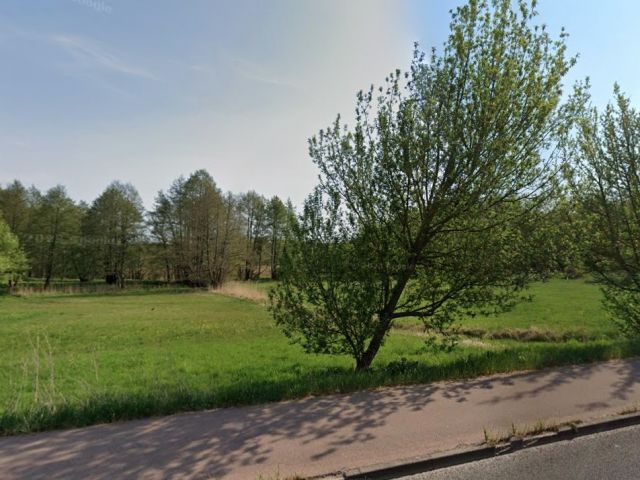 Blick in Richtung des Verkaufsobjektes - Vertragsfreie Gehölzfläche am Alten Heuweggraben Reinsdorf nördlich des Stadtzentrums Lutherstadt Wittenberg