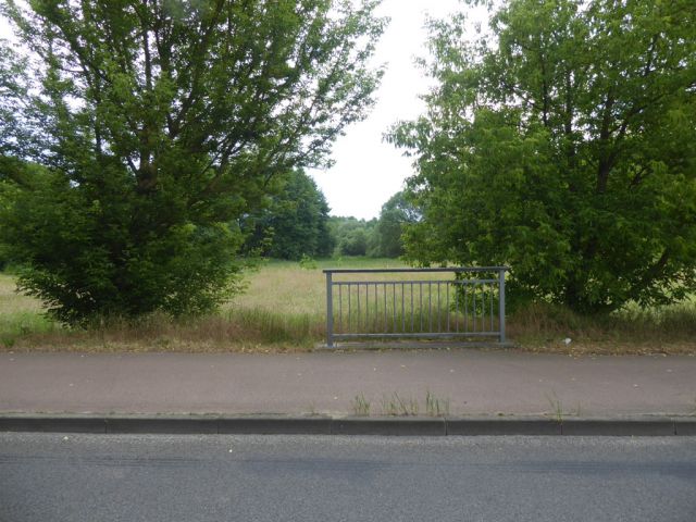 zurzeit verlandeter Wassergraben - Vertragsfreie Gehölzfläche am Alten Heuweggraben Reinsdorf nördlich des Stadtzentrums Lutherstadt Wittenberg