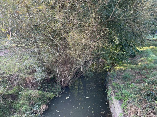 Blick auf das Fließgewässer - Über 9.500 m² Grünfläche teilweise mit Baum-/Strauchbewuchs neben Wohngrundstücken - Lage teilweise im Innenbereich