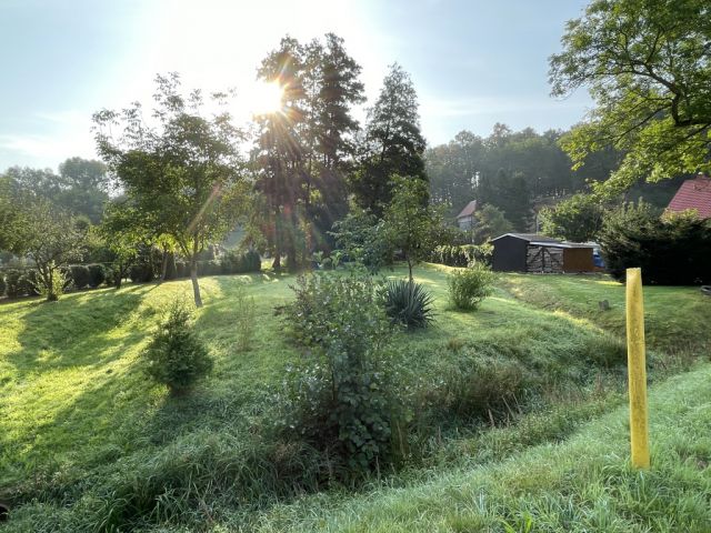 Blick vom Talweg auf Verkaufsfläche und Umgebung - Über 9.500 m² Grünfläche teilweise mit Baum-/Strauchbewuchs neben Wohngrundstücken - Lage teilweise im Innenbereich