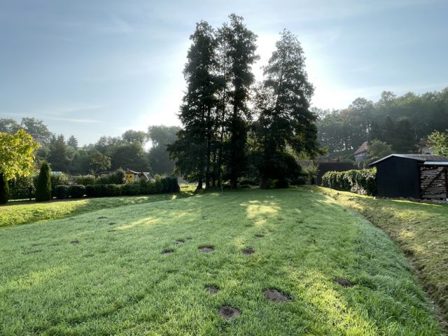 Blick auf Verkaufsfläche und Umgebung - Über 9.500 m² Grünfläche teilweise mit Baum-/Strauchbewuchs neben Wohngrundstücken - Lage teilweise im Innenbereich