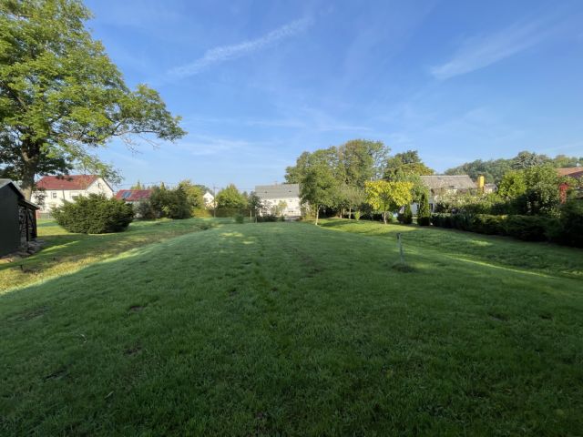 Blick über die Verkaufsfläche Richtung Talweg und auf die Umgebung - Über 9.500 m² Grünfläche teilweise mit Baum-/Strauchbewuchs neben Wohngrundstücken - Lage teilweise im Innenbereich