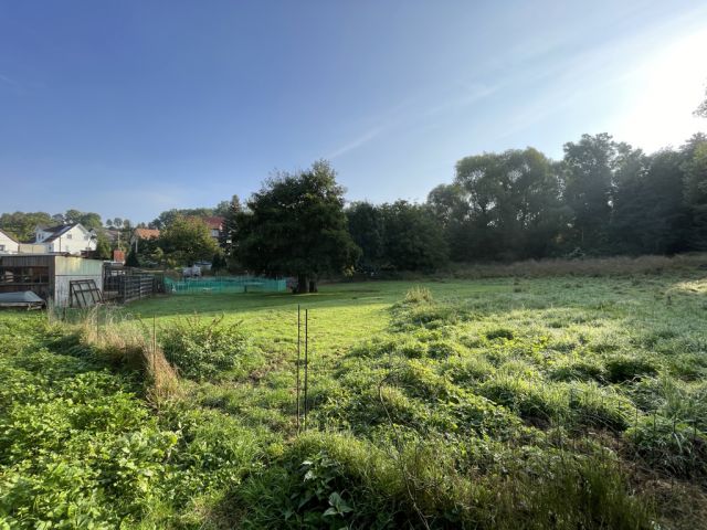 Blick auf Verkaufsfläche und Umgebung - Über 9.500 m² Grünfläche teilweise mit Baum-/Strauchbewuchs neben Wohngrundstücken - Lage teilweise im Innenbereich