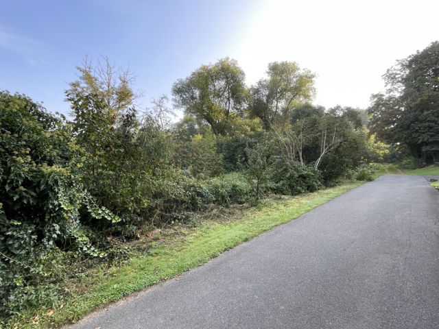 Ansicht Straße Zur Mühle Richtung Verkaufsfläche - Über 9.500 m² Grünfläche teilweise mit Baum-/Strauchbewuchs neben Wohngrundstücken - Lage teilweise im Innenbereich