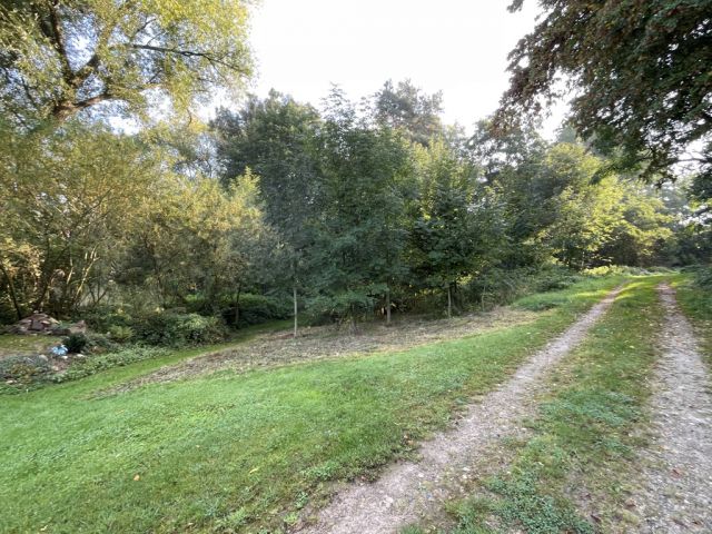Blick auf Verkaufsfläche von der Straße Zur Mühle - Über 9.500 m² Grünfläche teilweise mit Baum-/Strauchbewuchs neben Wohngrundstücken - Lage teilweise im Innenbereich