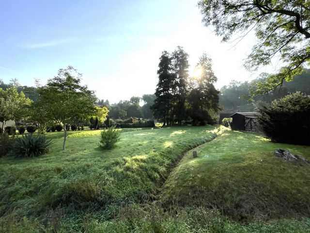 Blick vom Talweg auf die Verkaufsfläche und Umgebung - Über 9.500 m² Grünfläche teilweise mit Baum-/Strauchbewuchs neben Wohngrundstücken - Lage teilweise im Innenbereich