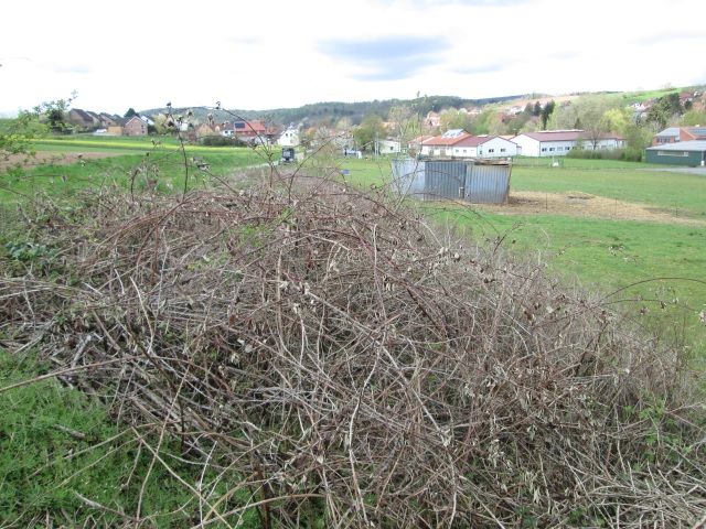 Blick auf das Verkaufsobjekt - Flurstück128/9 und die Umgebung - Vertragsfreies Grundstück 15 km östlich von Göttingen