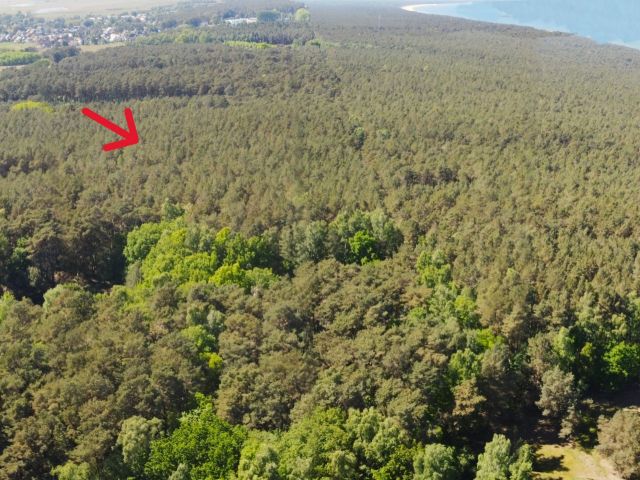 Blick auf den Verkaufsgegenstand mit Umgebung - Waldfläche auf der Insel Usedom **nahe Ostseestrand von Zinnowitz**