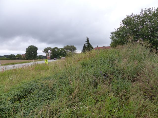 Blick auf das Verkaufsobjekt und die Umgebung - Vertragsfreie Grünfläche im Norden Pritzwalks **zwischen Berlin und Hamburg**