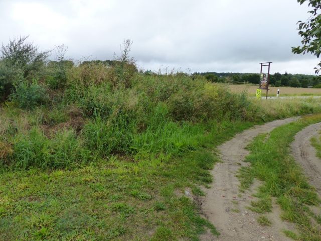 Blick auf das Verkaufsobjekt und die Umgebung - Vertragsfreie Grünfläche im Norden Pritzwalks **zwischen Berlin und Hamburg**
