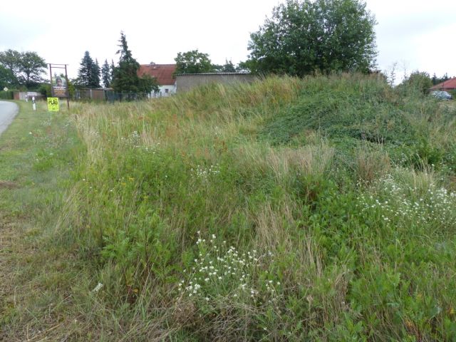 Blick auf die Verkaufsfläche und die Umgebung - Vertragsfreie Grünfläche im Norden Pritzwalks **zwischen Berlin und Hamburg**