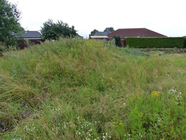 Blick vom Grundstück auf die Nachbarbebauung - Vertragsfreie Grünfläche im Norden Pritzwalks **zwischen Berlin und Hamburg**