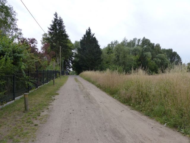 Blick auf Schwarzer Weg in Richtung Fennstraße und Nachbargrundstücke - Vertragsfreie mit Bäumen und Wildwuchs bewachsene Fläche im nordwestlichen ´Berliner Speckgürtel´