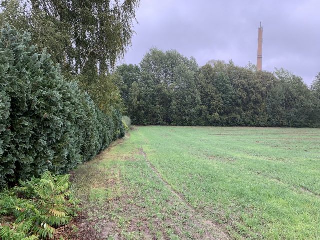 benachbartes Grundstück und Verkaufsgegenstand - Bauland zur Errichtung eines Einfamilienhauses in ruhiger idyllischer Lage südöstlich von Cottbus ++Natur pur++ 