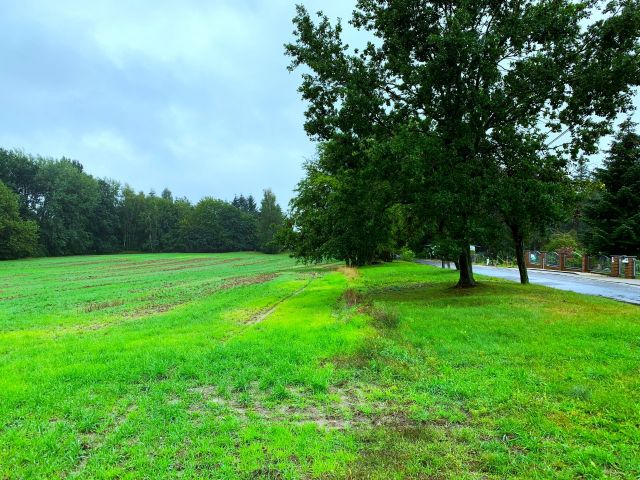 Blick auf den Verkaufsgegenstand - Bauland zur Errichtung eines Einfamilienhauses in ruhiger idyllischer Lage südöstlich von Cottbus ++Natur pur++ 