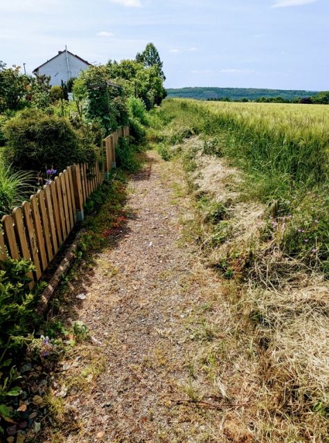 Blick auf Verkaufsfläche und Umgebung - Drei Freiflächen in einem Wohngebiet im östlichen Ruhrgebiet