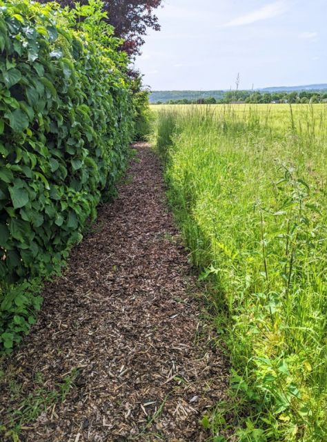 Blick auf Verkaufsfläche und Umgebung - Drei Freiflächen in einem Wohngebiet im östlichen Ruhrgebiet