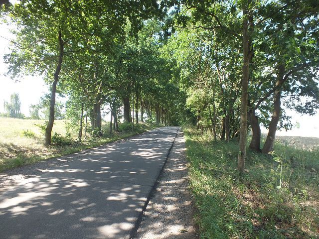 Umgebung - Grundstück in unmittelbarer Ufernähe zum Settiner See **ca. 24 km von Schwerin entfernt**